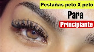 Extensiones de pestañas pelo a pelo Tutorial paso a paso para principiante [upl. by Yelsgnik162]