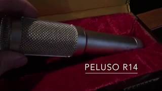 Demo of Peluso r14 Ribbon Microphone Jesse Ray Shelby [upl. by Nisaj435]