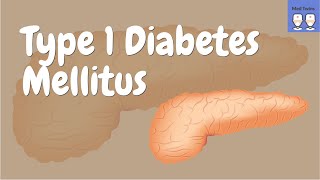 Type 1 Diabetes Mellitus Pathophysiology Insulin production and secretion [upl. by Bannon]