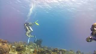 Tour mexico cozumel diving [upl. by Adlin405]