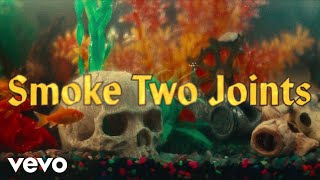 Sublime  Smoke Two Joints Official Music Video [upl. by Edda]