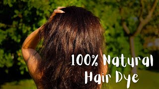 How to Colour Your Hair with Henna  Step by Step Guide SHORTS [upl. by Daryn]