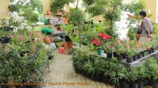 Kumikitang Kabuhayan  Plants amp Flowers Vendor 2016 [upl. by Enicul373]