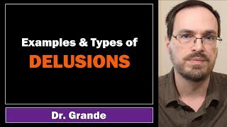 Examples of Delusions  How are Delusions Treated [upl. by Ag]