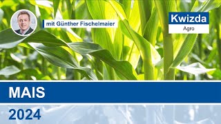 Kwizda Agro Pflanzenschutz im Mais 2024  Günther Fischelmaier [upl. by Anaujnas]