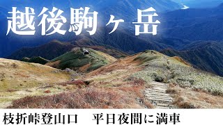 越後駒ヶ岳 枝折峠登山口 20241023 [upl. by Florinda]