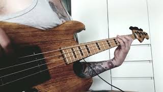 Моя Мишель  Пташка bass cover [upl. by Einatirb]