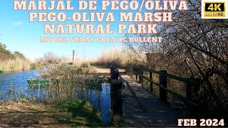 Oliva Espana Parc Natural de la Marjal de PegoOliva Marsh Natural Park Walk Oliva Spain 4k [upl. by Anaillil]