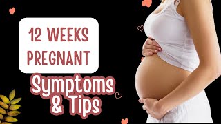 12 Weeks Pregnant  Symptoms and Tips  What to Expect [upl. by Sterner]