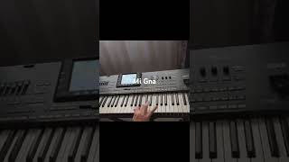 Mi GnaSuper Sako ft HaykoKeyboard Cover by Jean Paul Atallah [upl. by Arquit]