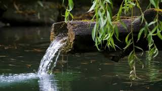 Como tratar el agua de un nacimiento para que no se enturbie [upl. by Merrill]