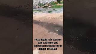 PosseEsgoto a céu aberto no setor Cafelândios gera transtornos moradores cobram solução da SANEAGO [upl. by Nwahsor687]