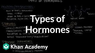 Types of hormones  Endocrine system physiology  NCLEXRN  Khan Academy [upl. by Daus]