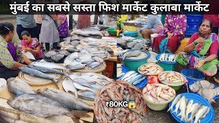 Machhi Market Mumbai  Colaba Sassoon Dock Fish Market  Wholesale Fish Market In Mumbai [upl. by Salchunas]