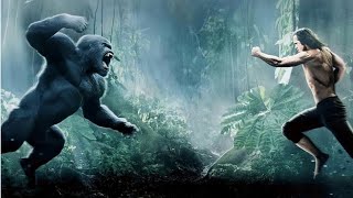 Tarzan Movie  Explained In Hindi  Hollywood movie hindi dubbed  new movie [upl. by Oalsecnew187]