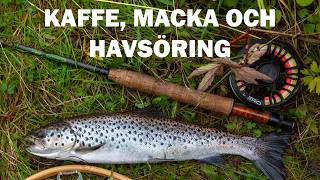 KAFFE MACKA OCH HAVSÖRING  Höstfiske i Umeå [upl. by Fiel667]