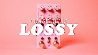 Chase Bliss amp Goodhertz Lossy  Demo [upl. by Birchard251]