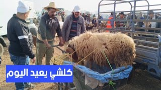 مباشرة من الإثنين الحاجب 2752024 مع أثمنة حولي برݣي عيد الأضحى والخروفة جديان نعجة والبكري فرجة مم [upl. by Waynant]