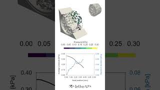 Pressure and Reynolds number evolution through porous monolith [upl. by Nauqat]