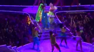 Lady Gaga  Applause  Live in Fort Lauderdale FL  artRave The ARTPOP Ball [upl. by Agon]