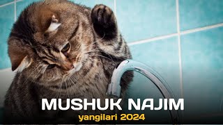 MUSHUK NAJIM YANGILARI 2024 [upl. by Lirpa]