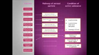 Study of Biopharmacy in Intrapulmonary route [upl. by Issy]