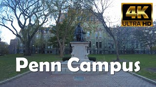 University of Pennsylvania  UPenn  4K Campus Walking Tour [upl. by Quent]