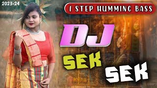 Sek Sek Sek 🔥 1 Stepp Humming Bass 🔥 New Santali R c f Dj Song 🔥 202324  Dj Sagen [upl. by Spratt]