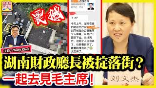 920震撼【湖南財政廳長被掟落街？】兩名苦主闖入湖南財政廳長劉文杰辦公室，要求償還拖欠的工程款6000萬不果，一起去見毛主席！主持：Tony Choi [upl. by Florry]