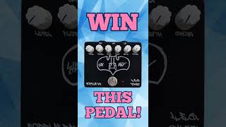 Enter to Win A Boffin FX Fuzz Pedal wwwboffinfxcom 🎸 fuzzpedal entertowin [upl. by Ameen]