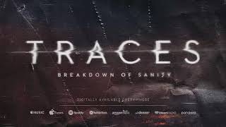 Breakdown of Sanity  Traces Official Audio [upl. by Moia]