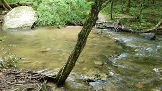 2020 May 31st South Pacolet river in Chesnut ridge heritage Preserve [upl. by Aidnyc]