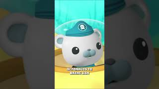 ​Octonauts  Barnacles amp the Orcas 🐻‍❄️  Underwater Sea Education  shorts orcas [upl. by Anippesuig]