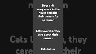 DOGS SUCK  CATS BETTER [upl. by Iek]