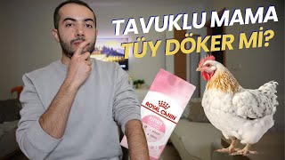 Tavuklu Mama Tüy Döker Mi TAVUKLU MAMA KULLANIMINDA NE OLUR [upl. by Delaney211]