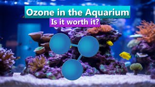 Ozone in the Aquarium  Is it worth it [upl. by Malamut852]