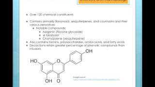 Matricaria recutita German Chamomile [upl. by Asital]