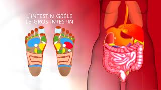 Semelles amincissantes Lilisol  Méthode de l’acupression [upl. by Neeroc]