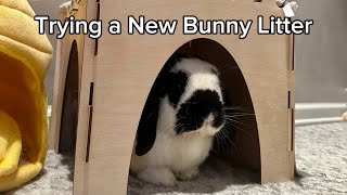 Trying a New Bunny Litter  Tractor Supply Pelletized Bedding [upl. by Kennard]