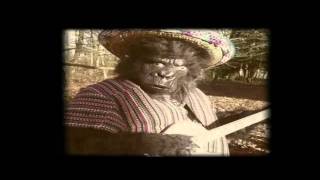 The Twang  Guapa Official Video [upl. by Faythe]