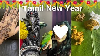 Tamil New Year Vlog  How I Celebrate Tamil New Year  tamil vlog [upl. by Ellek]