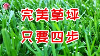 春季草坪护理四步曲  做好春季草坪的基础养护，收获一片绿色地毯 [upl. by Rairb]