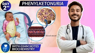 phenylketonuria biochemistry  protein metabolism biochemistry  phenylalanine metabolism defect [upl. by Alfonzo384]