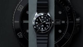 Bertucci vs Timex Best Luxury Watch Under 100 [upl. by Ydorb]