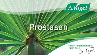 AVogel Prostasan [upl. by Kasper]