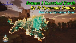 ARK Ascended Season 1  Ep 28 Pyromane Taming [upl. by Mientao]