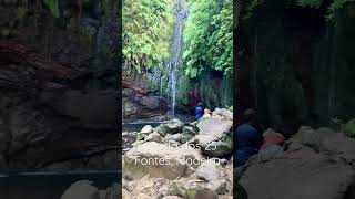 Beautiful Levada dos 25 Fontes hike in Madeira island Madeira shorts [upl. by Mckenzie]