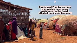 Caafimaad Plus  Elnino Response in Somalia [upl. by Emmy]