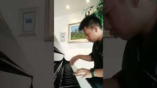 My Heart Will Go On  Celine Dion Ost Titanic Piano Cover [upl. by Hasin]