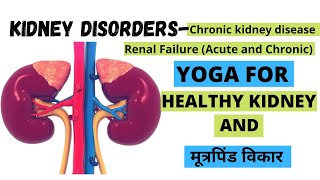 Kidney Disorders  Causes Treatment By Yoga  मूत्रपिंड के लिए योग एवं उपचार  क्या करे क्या नहीं [upl. by Switzer215]